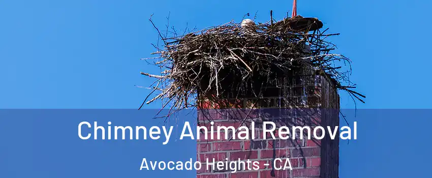  Chimney Animal Removal Avocado Heights - CA