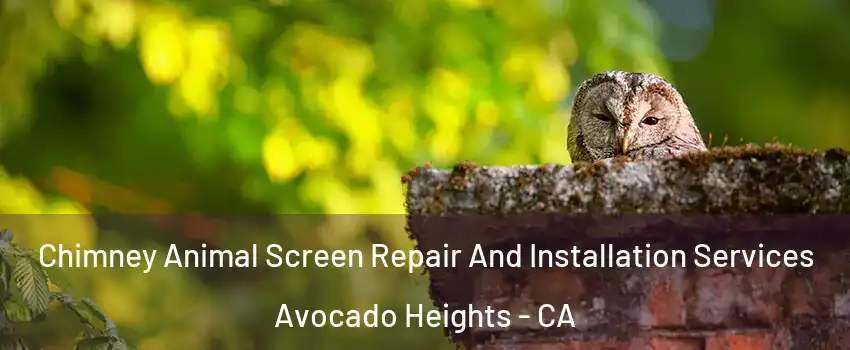  Chimney Animal Screen Repair And Installation Services Avocado Heights - CA