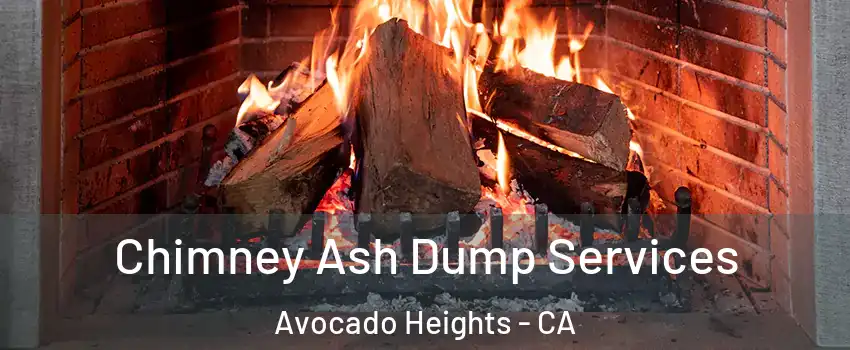  Chimney Ash Dump Services Avocado Heights - CA