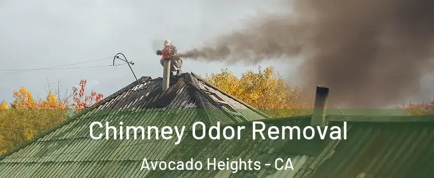  Chimney Odor Removal Avocado Heights - CA