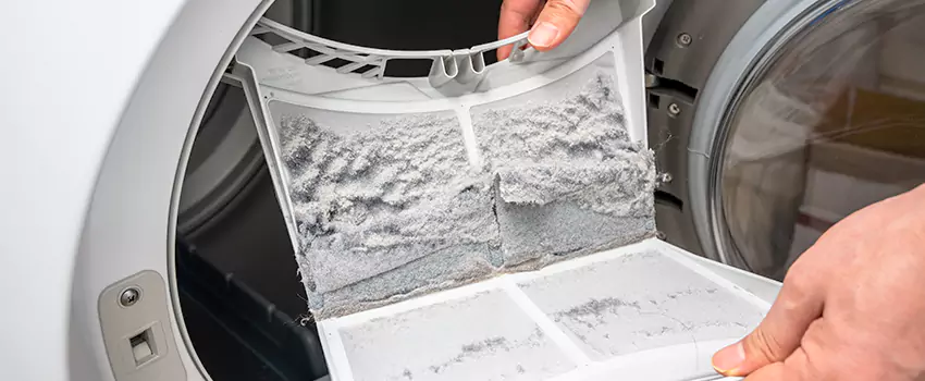 Best Dryer Lint Removal Company in Avocado Heights, California