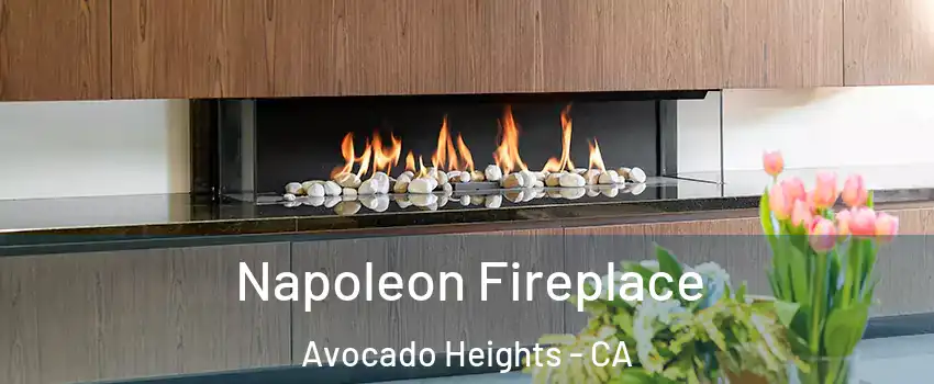  Napoleon Fireplace Avocado Heights - CA